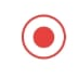 the Start Recording icon