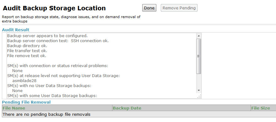 Screenshot displaying the results of an audit run on the specified Backup Storage Location.