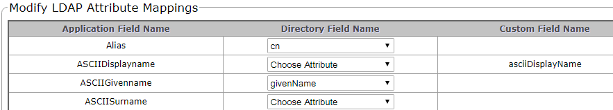 A screen shot that shows a customized attribute mapping.