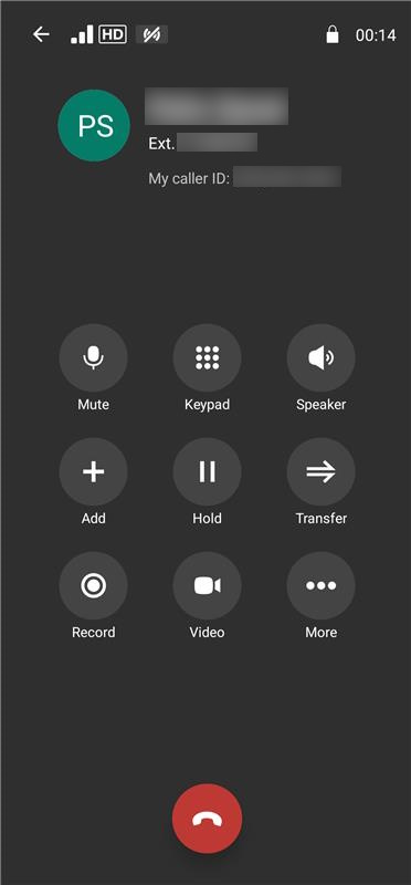 The call screen