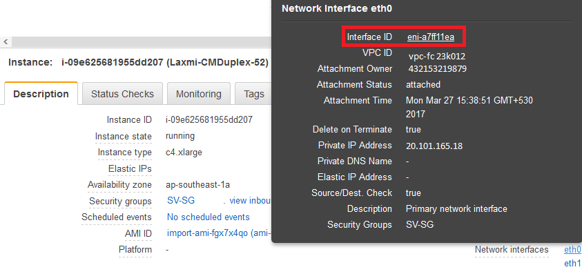 Instance Network Interface ID