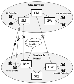 Generic diagram depicting branch survivability in a failure scenario