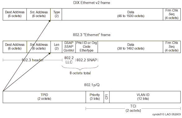 The image shows a breakup of a 802.1Q tag