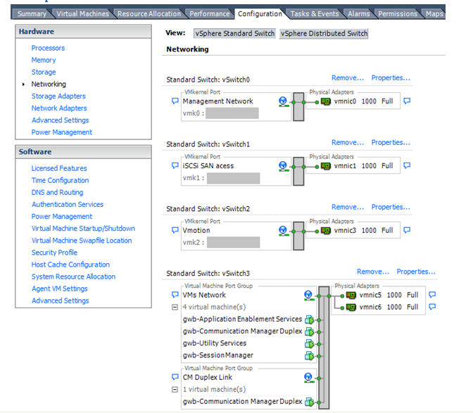 Networking Avaya
applications within the same ESXi host.
