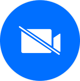 the Video Mute icon