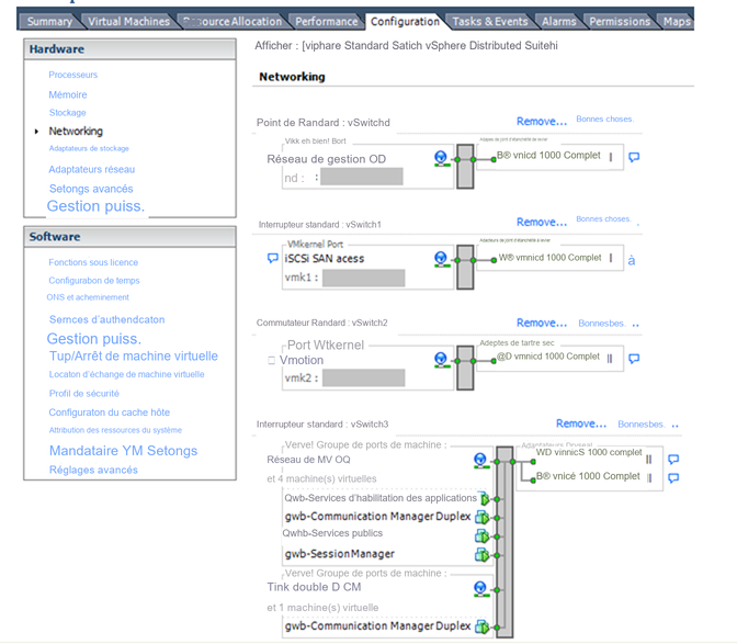 Mise en réseau des applications Avaya au sein du même hôte ESXi.