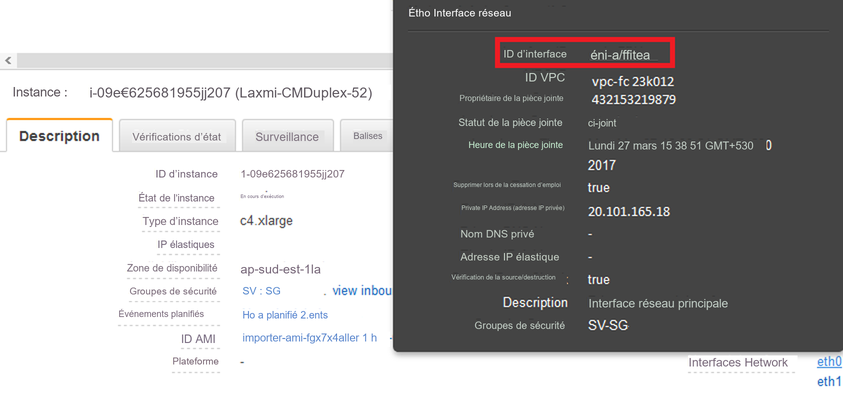 ID de l'interface réseau de l'instance