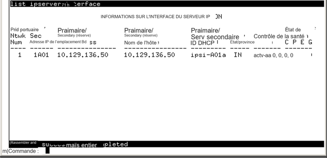 avCmListIpServerIntf - IP SERVER INTERFACE INFORMATION