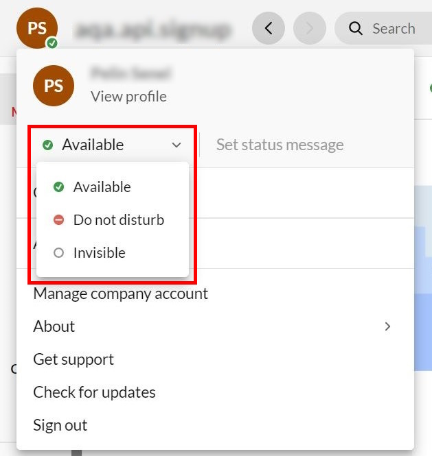 Screenshot displaying the user status options