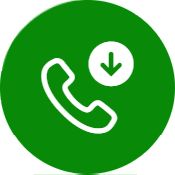 the Accept Voice Interaction icon