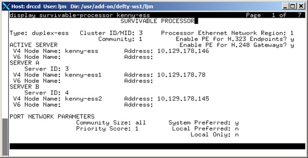 avCmDispSurvProcess - SURVIVABLE PROCESSOR