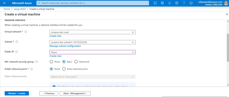 The Network Interface options window.